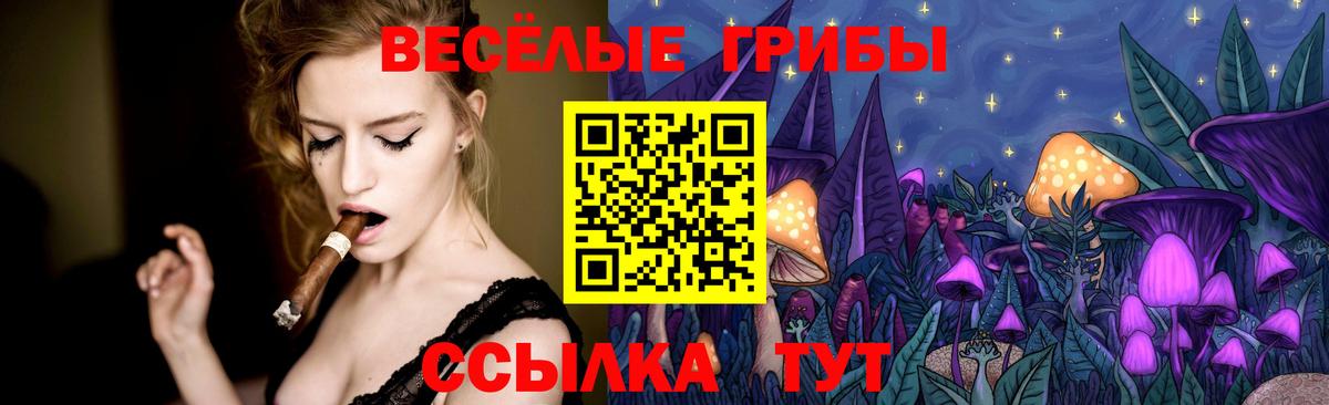 Псилоцибиновые грибы GOLDEN TEACHER  Вход с VPN  Галлюциногенные грибы MAGIC MUSHROOMS  Ковров 